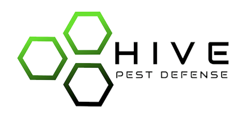 MINT Services